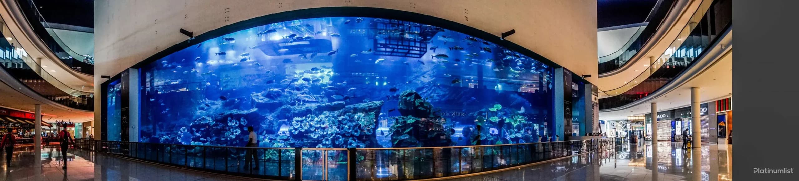 Combo: IMG Park + Dubai Aquarium - Image 6